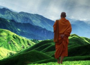 sixteen stages of insight