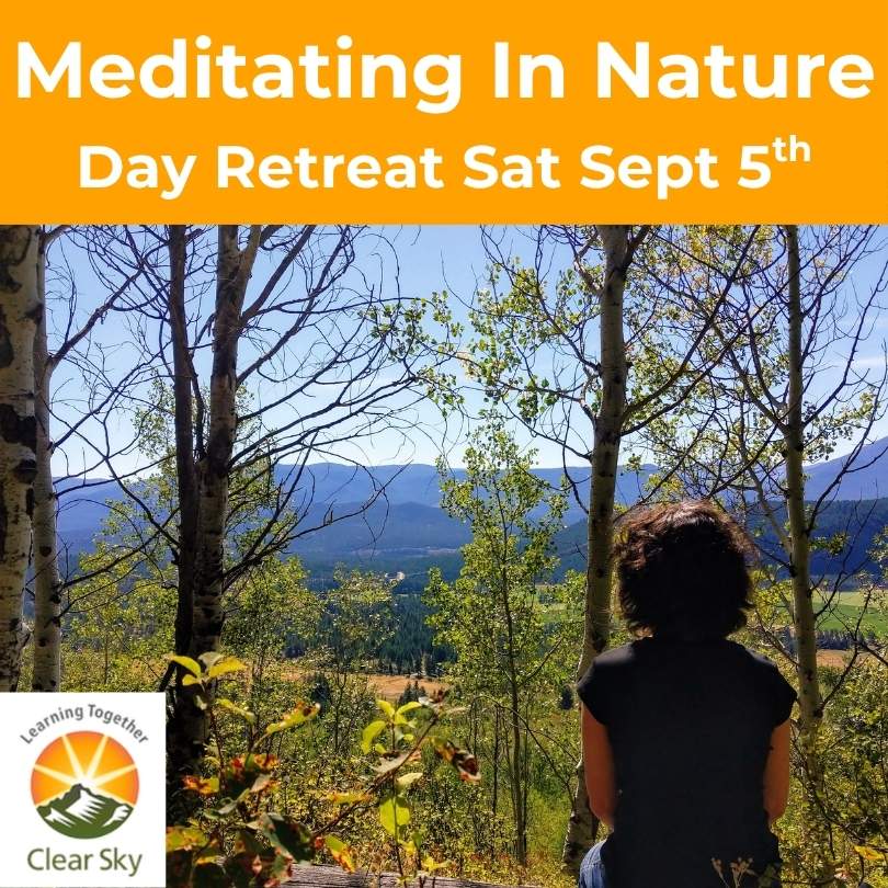 Meditating in Nature Day Retreat